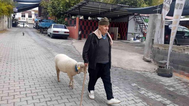 Yavruyken alıp besledi şimdi peşini bırakmıyor